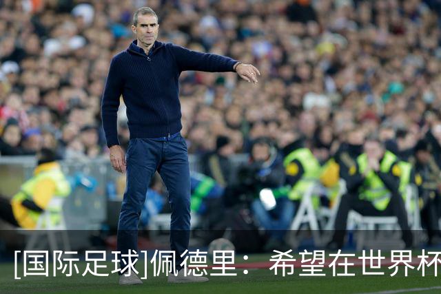 [国际足球]佩德里：希望在世界杯上能与中国球员同场竞技